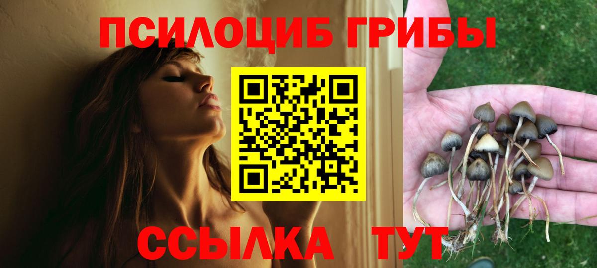 Псилоцибиновые грибы ЛСД Каменск-Уральский